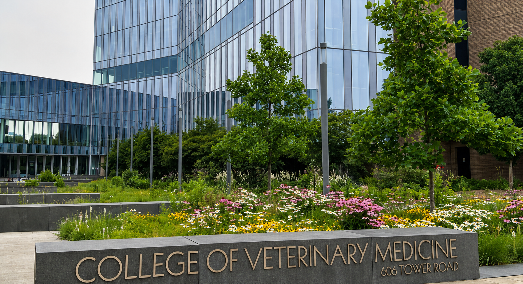 How to Get Into Cornell Vet School: Admissions Guide 2026