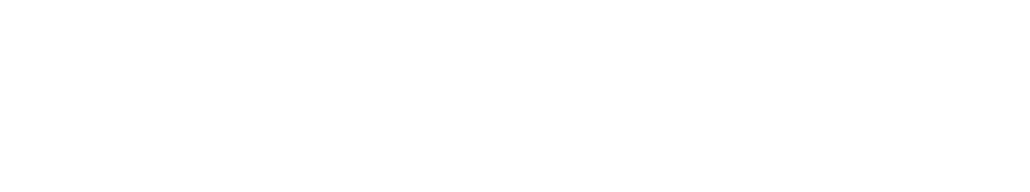 2020INC logo