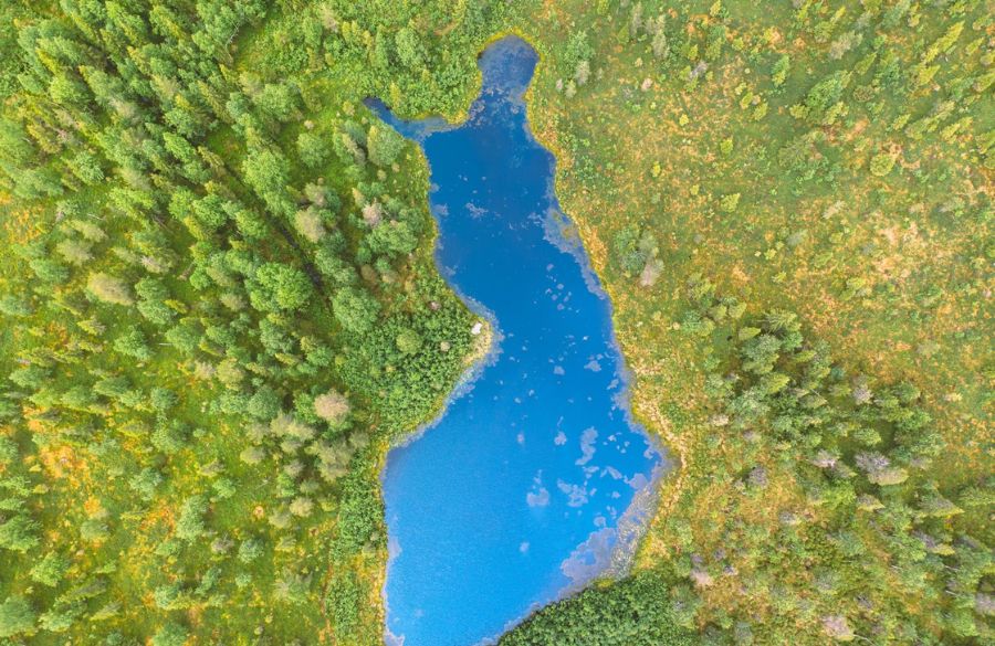 S-ryhmän myyntidata: Kotimaisten tuotteiden kysyntä kasvaa itsenäisyyspäivän alla jopa 50 prosenttia