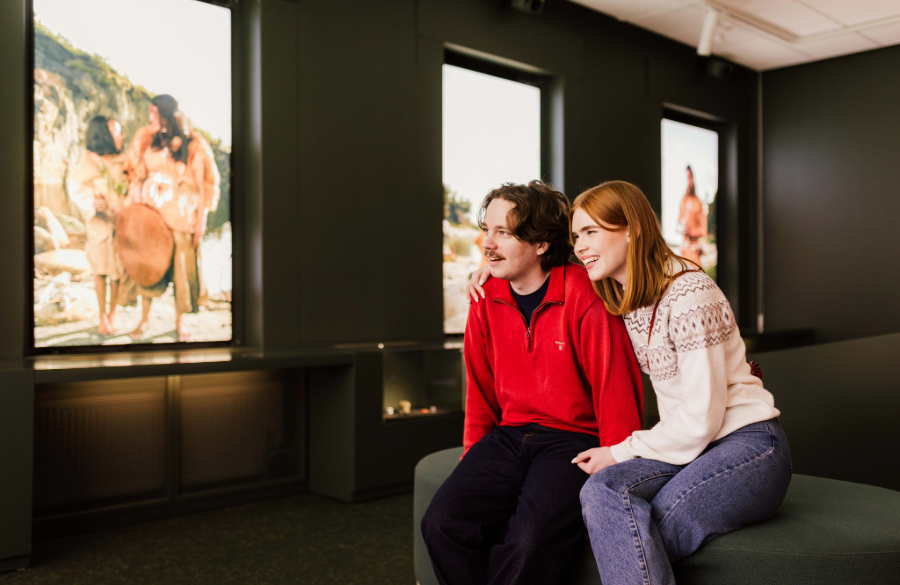 Museokorttien määrä kasvoi viime vuonna kuusi prosenttia