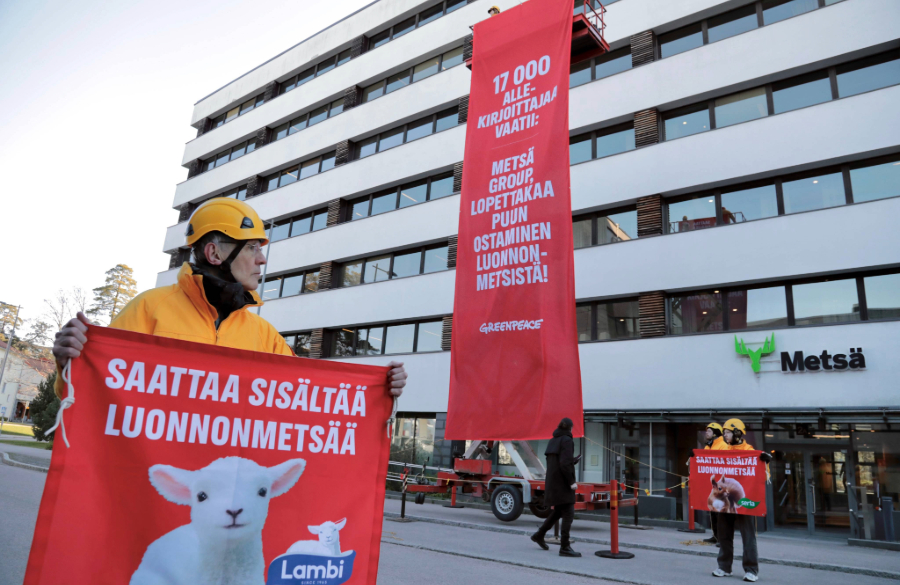 Greenpeacen aktivistit toimittivat vetoomuksen luonnonmetsien puolesta luovalla tavalla
