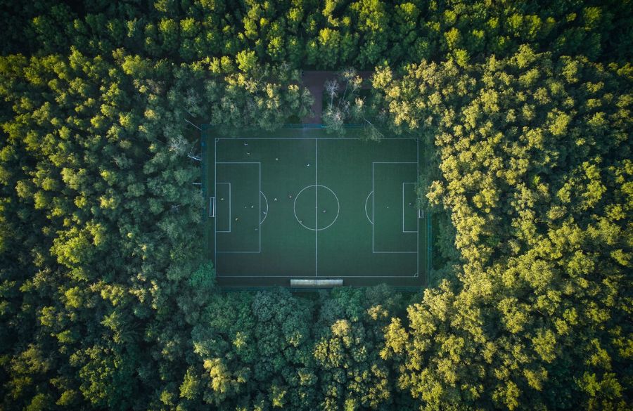 HJK kompensoi jatkossa kotiotteluidensa hiilijalanjäljen metsäistutuksin