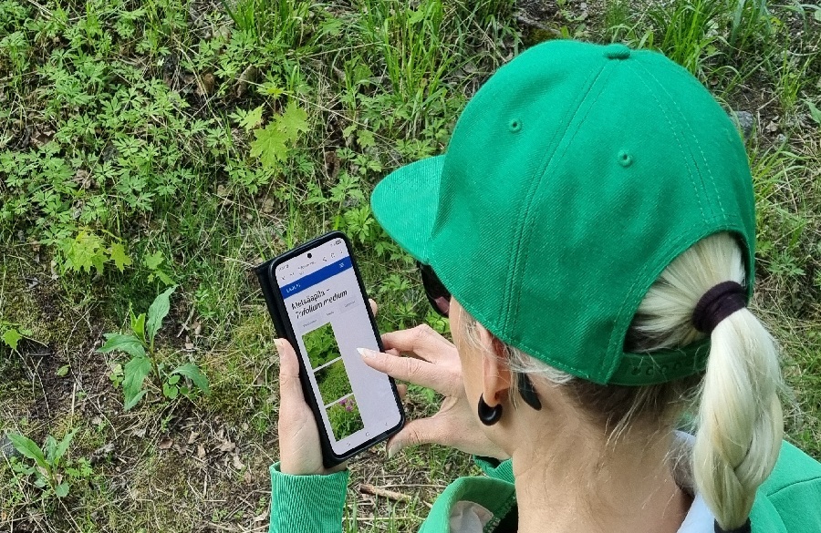 Peli pelastaa perhosta Tampereella