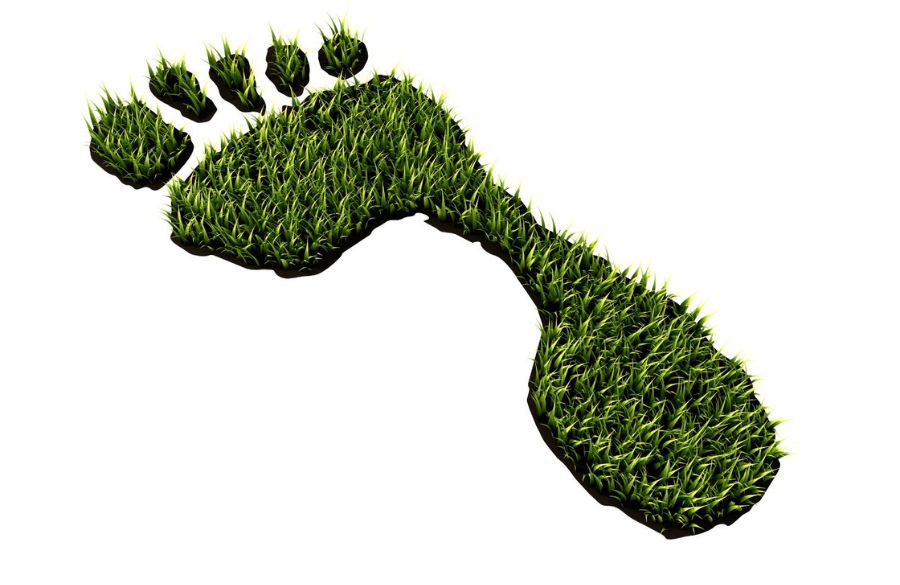 Liwlig mukaan Green Producers Clubiin