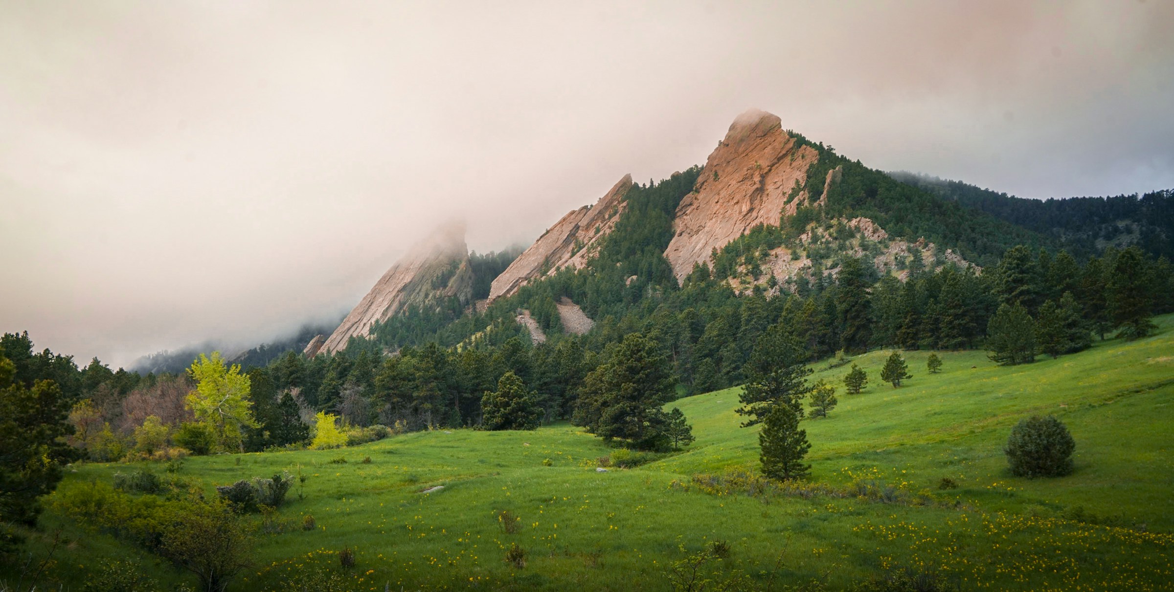 Colorado Flatirons rising above a green meadow near Boulder