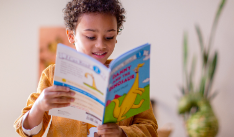 Boy reading book