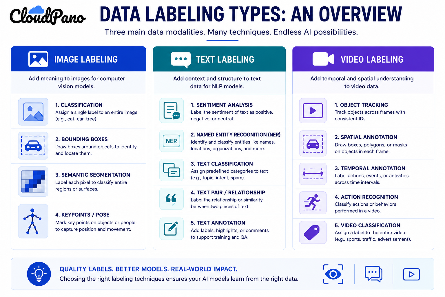 Infographic of the three main data labeling types and their techniques