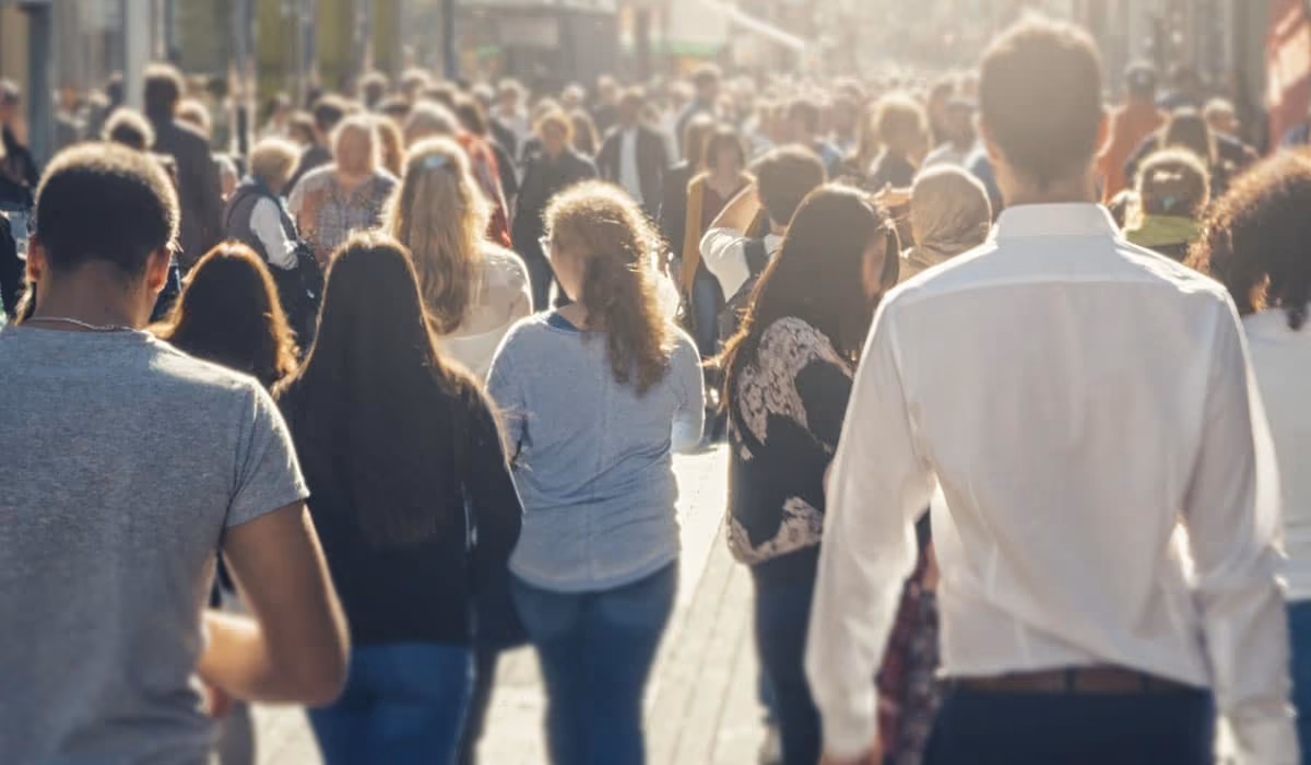 audience targeting segments