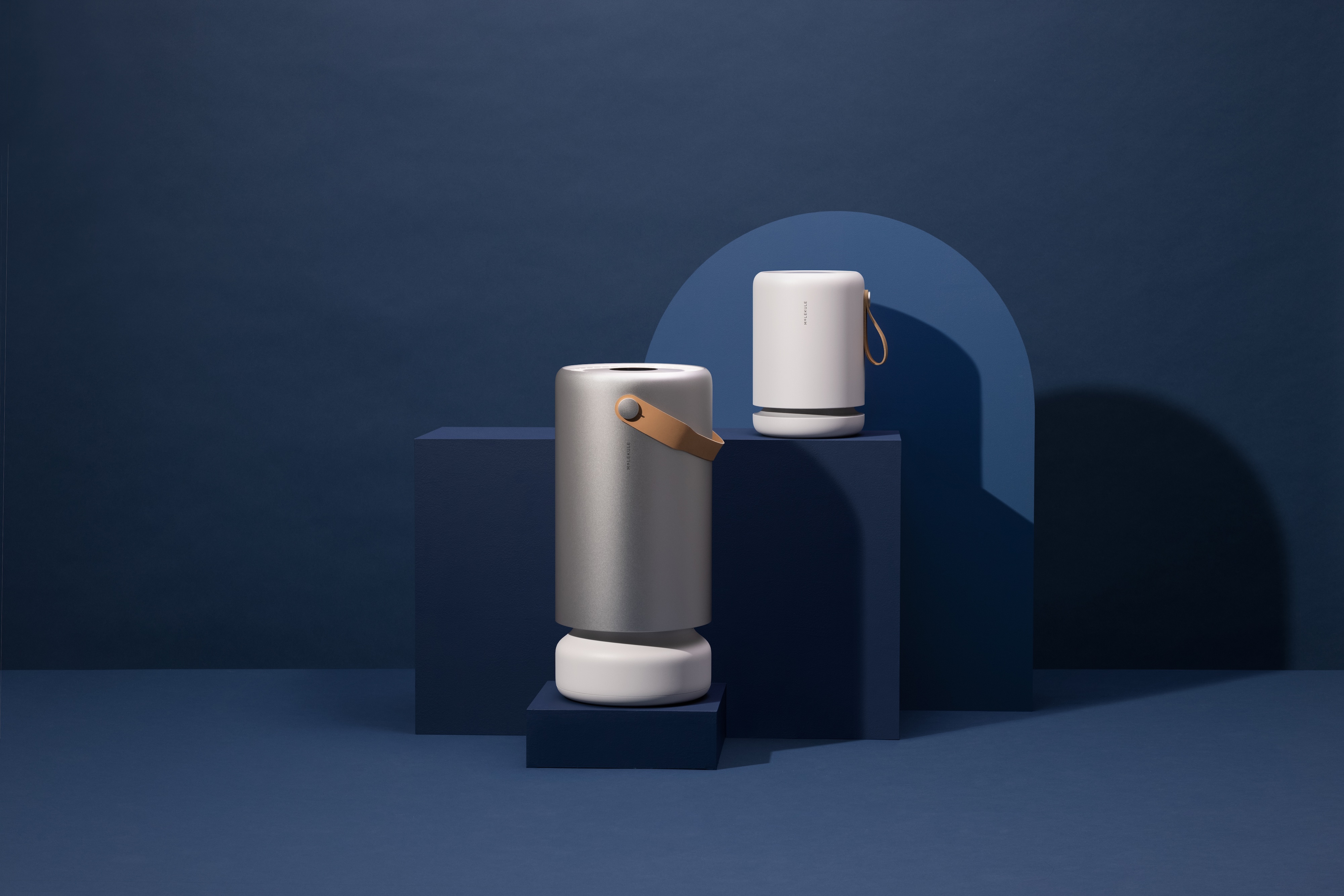 How Molekule Won Mindshare and Turned Pollen into Profit with WeatherAds | WeatherAds Case Studies