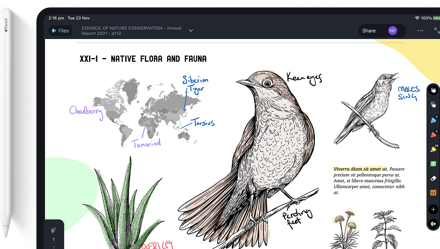 PDF drawing workspace