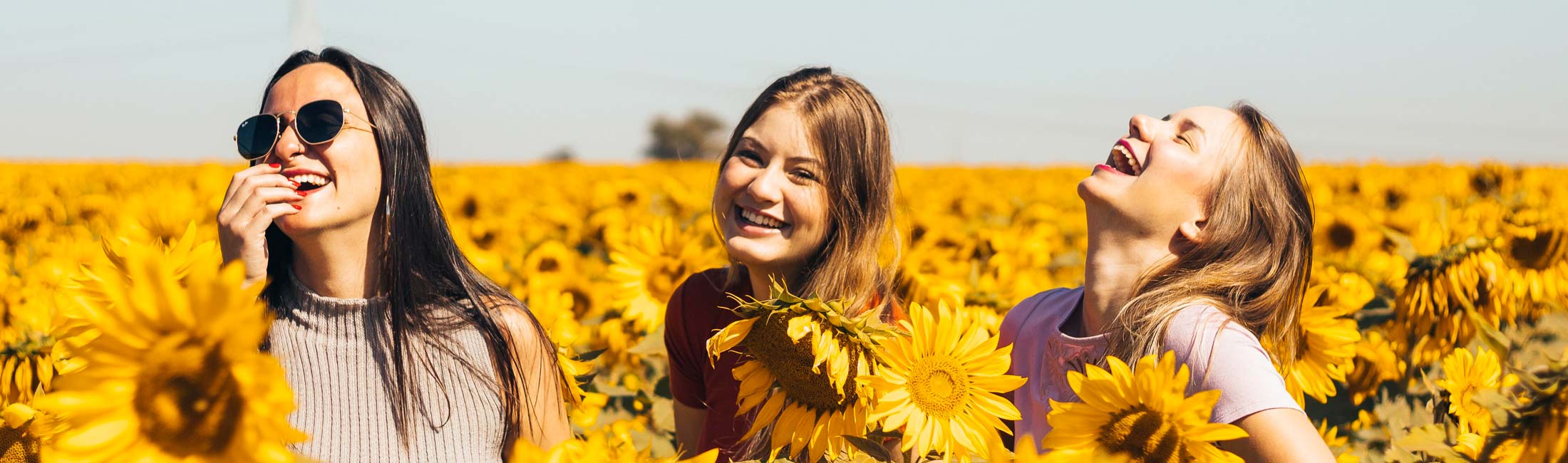 trois filles dans un champs de fleurs