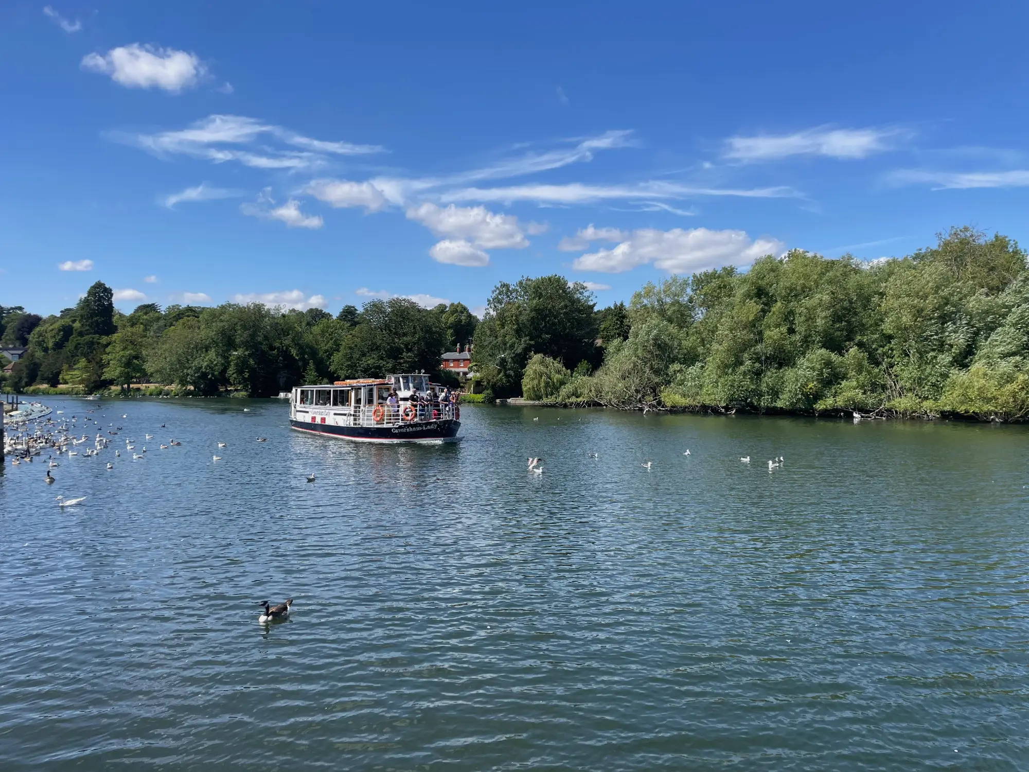 Dine & Jazz Cruise