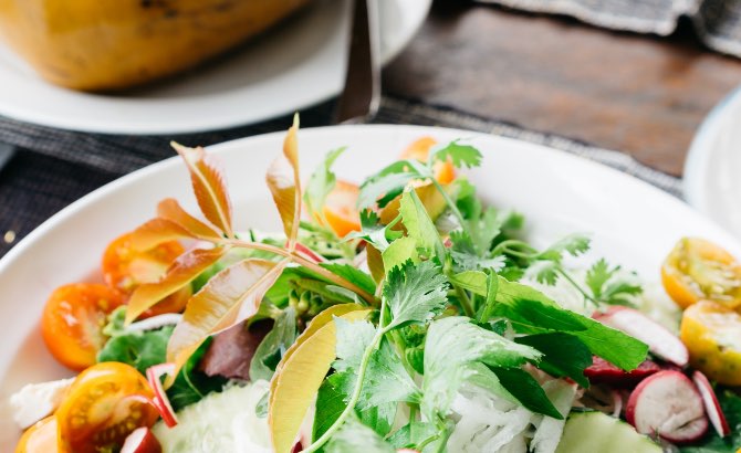 Boat trips on the river thames