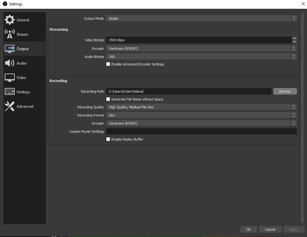 OBS output path