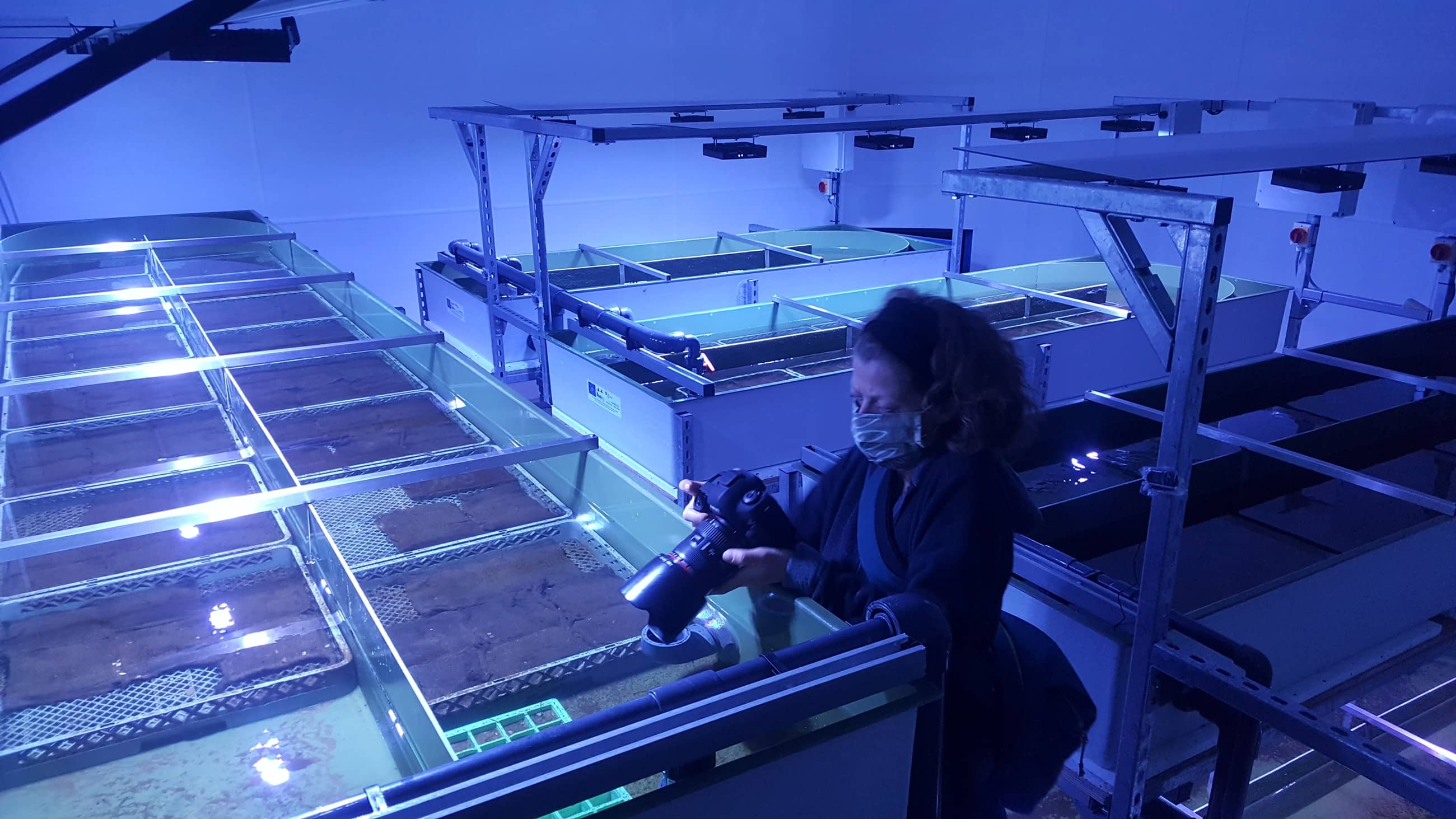 Cornwall Climate Care - a series of documentaries