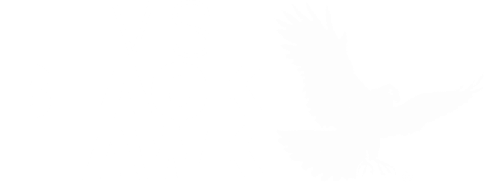Visit Black Hawk brand mark in white.