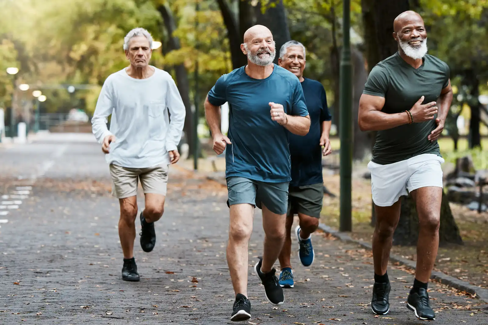 Um grupo de homens sênior fazendo exercícios ao ar livre.