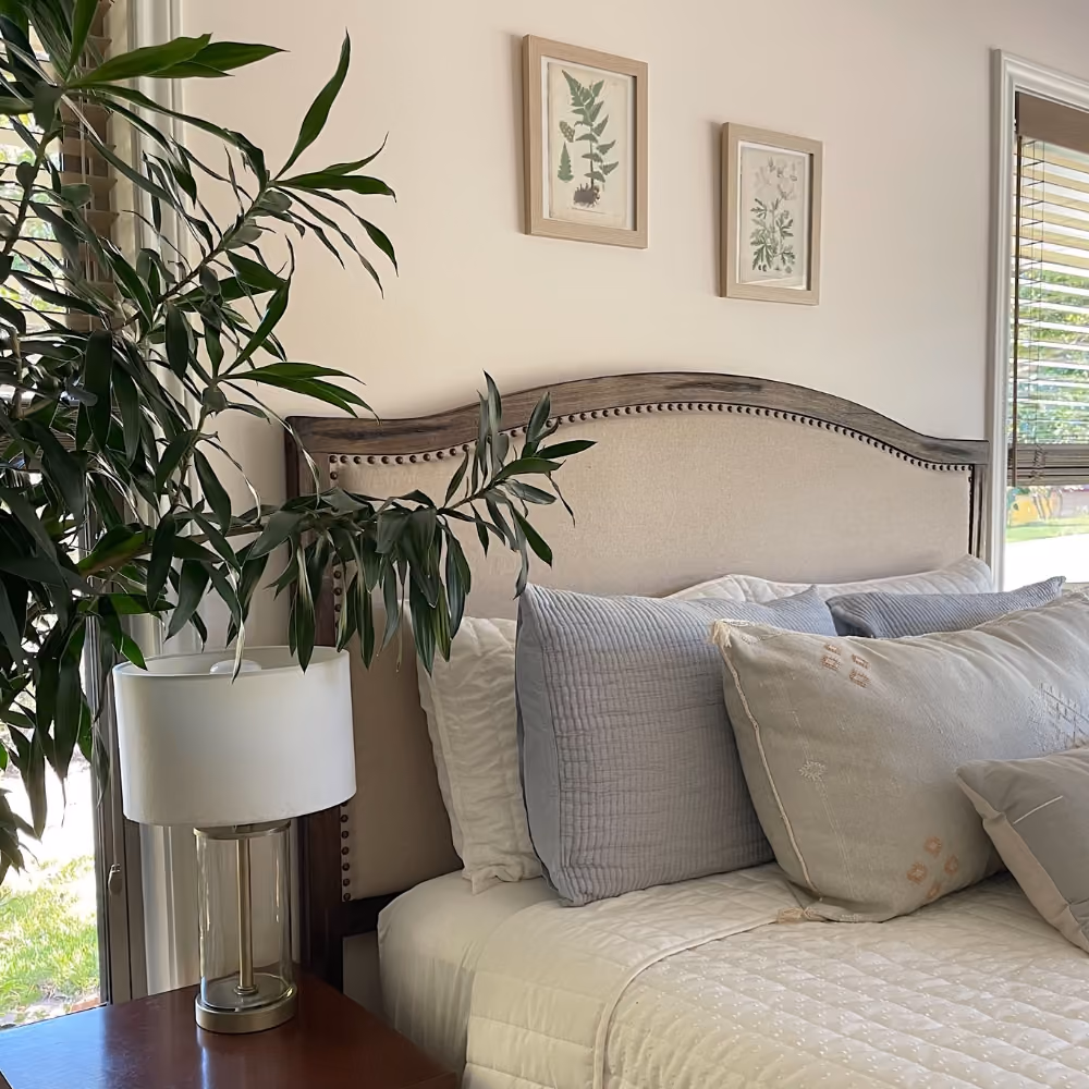 Cozy bed with beige headboard, soft pillows, white comforter, nightstand, lamp, and leafy green plant.