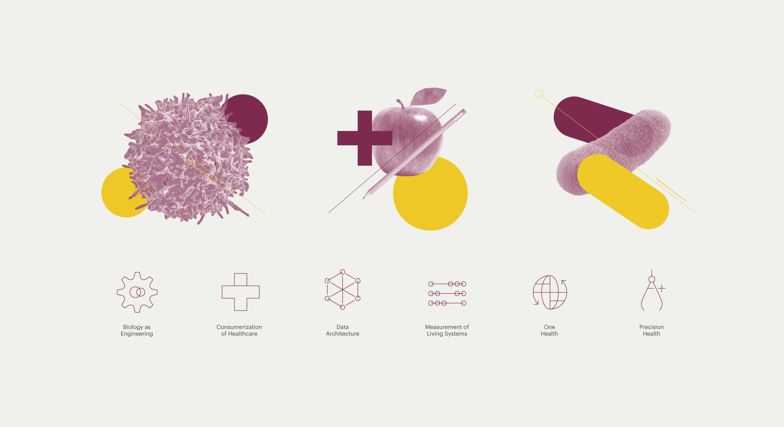 Digitalis Illustrations Icons Dave C Frankel