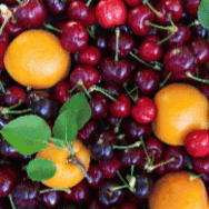 Organic Stone Fruit