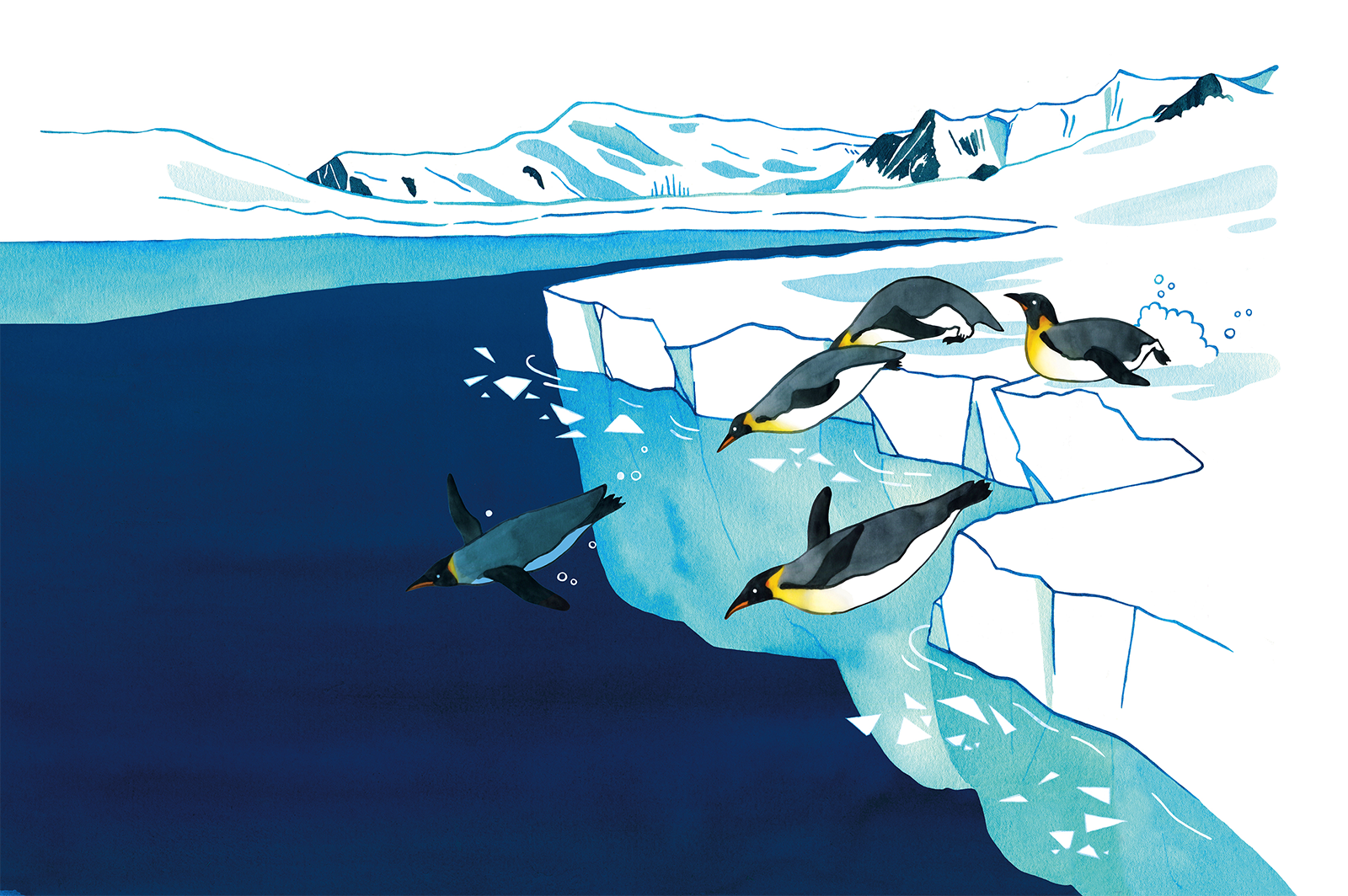 A watercolour illustration of emperor penguins diving in the Antarctica waters.