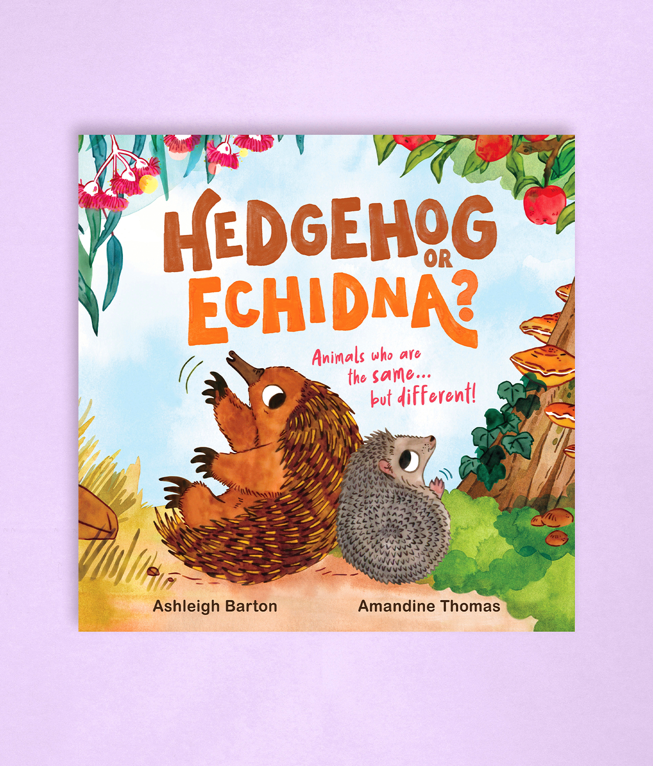 The colourful cover of Hedgehog or Echidna?