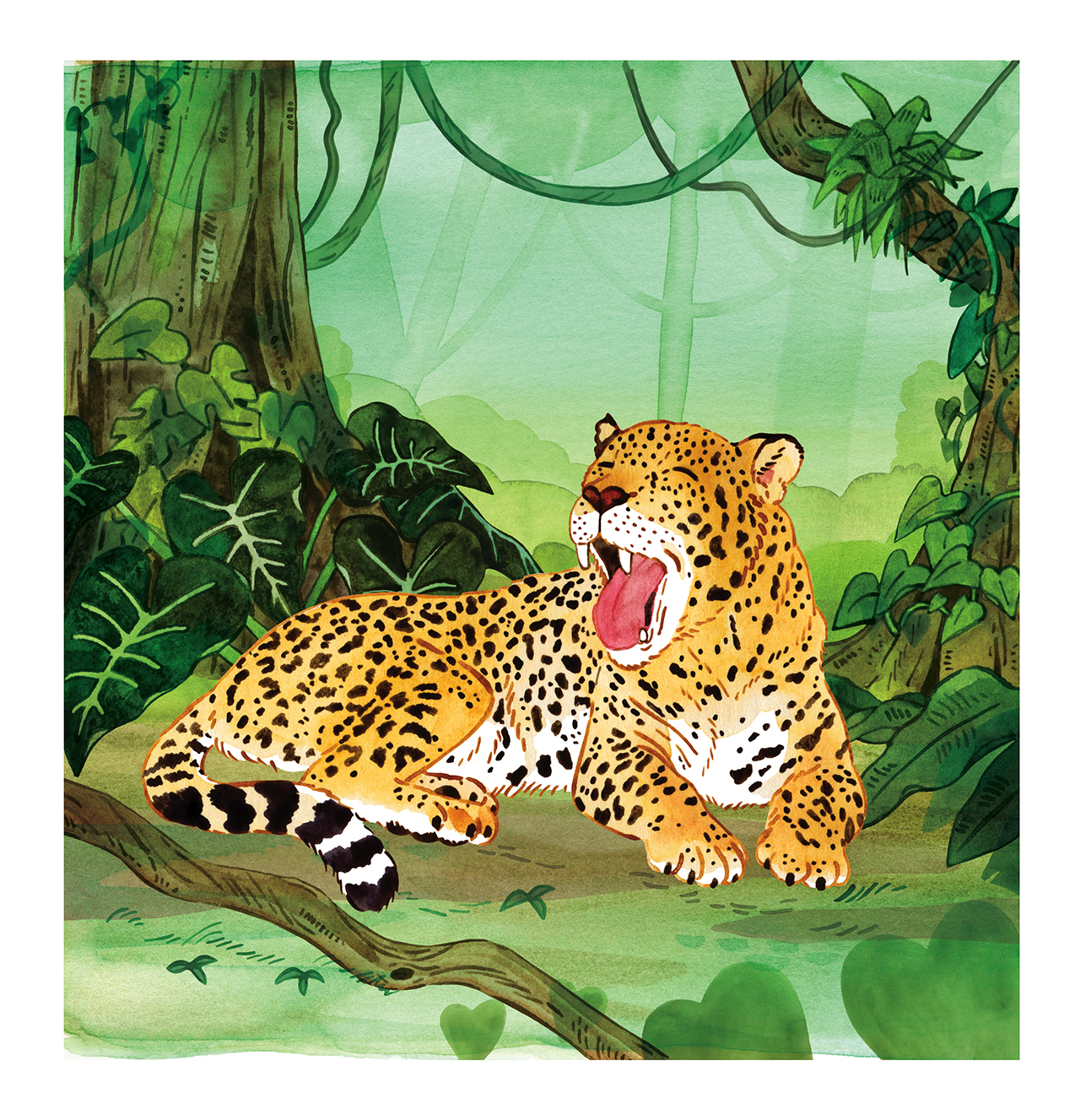 A watercolour illustration of a yawning jaguar