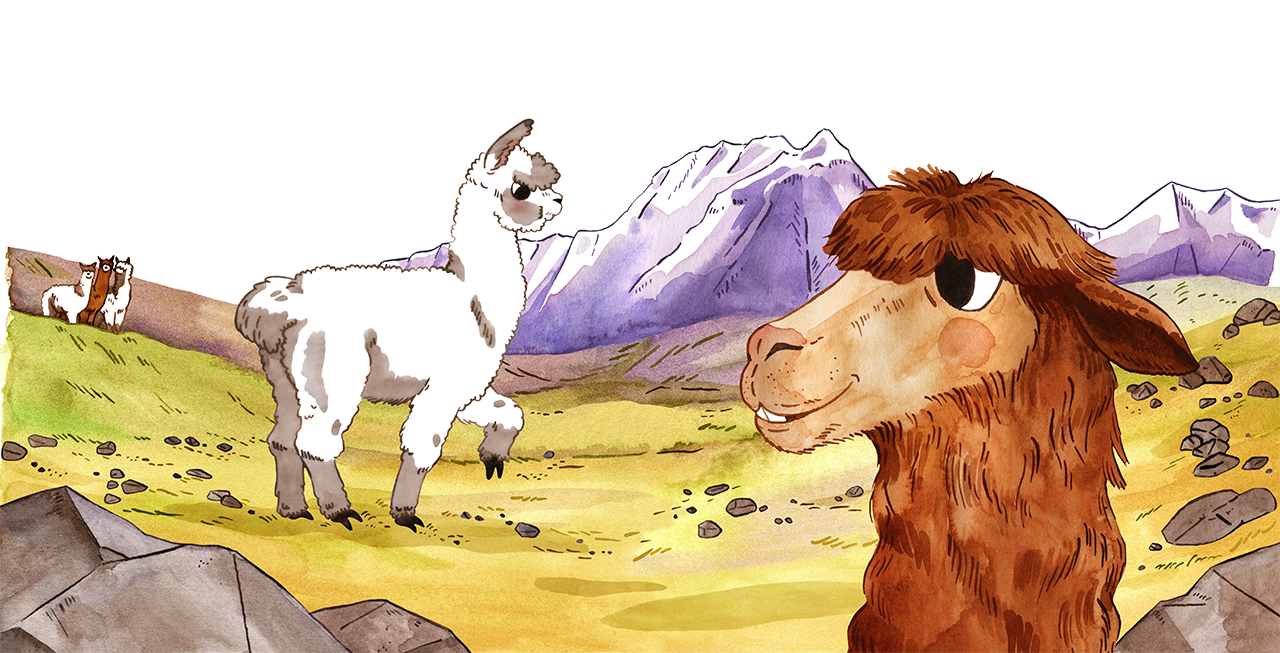 A humourous watercolour illustration of an alpaca and a lama