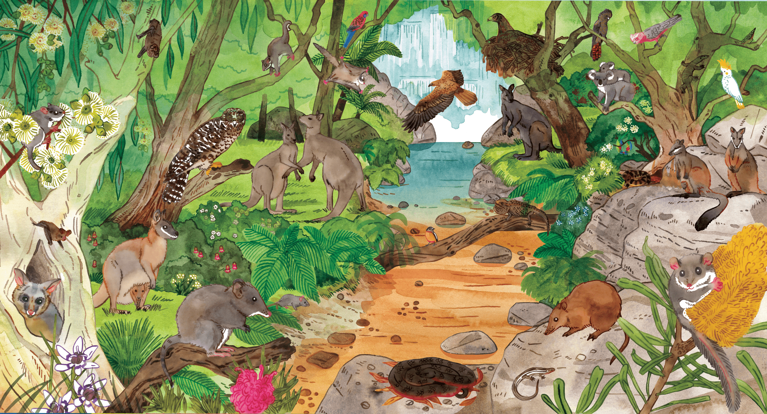 A colourful watercolour illustration of the Grampians