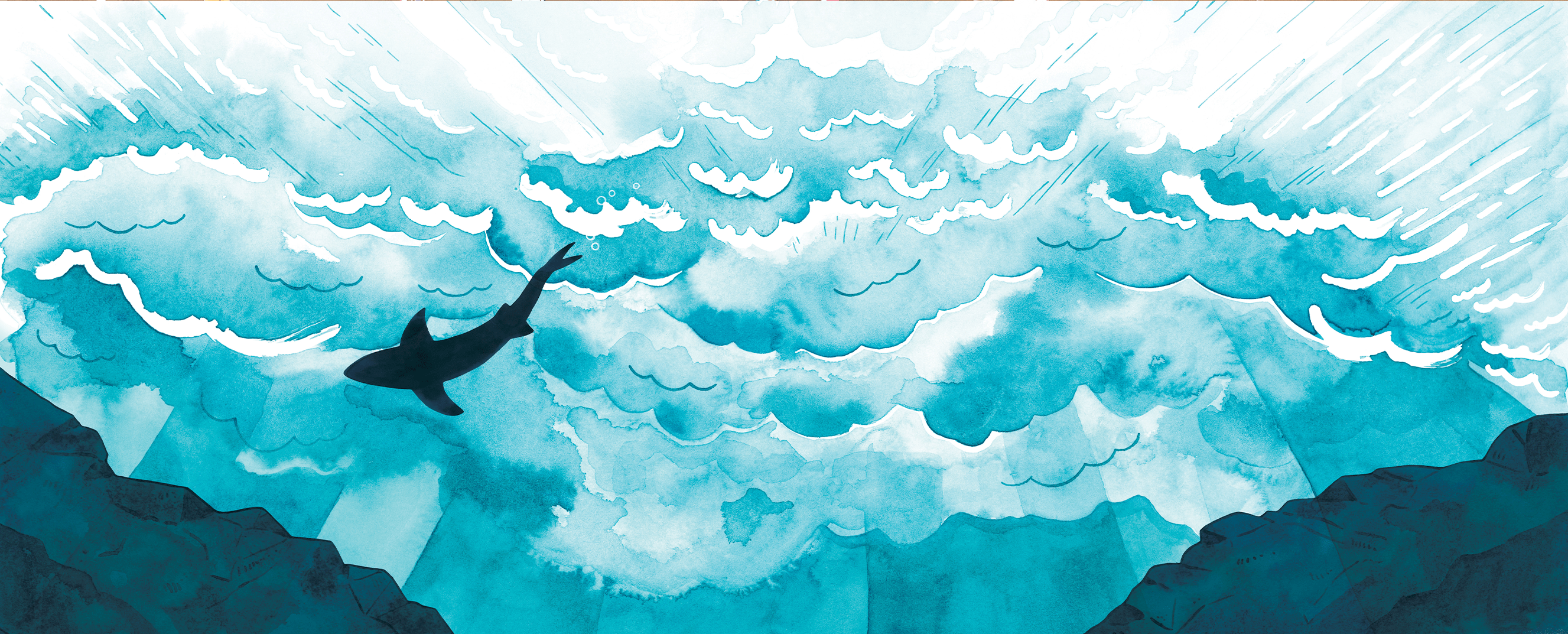 Un grand requin blanc culbutant dans les vagues, vu d'en dessous