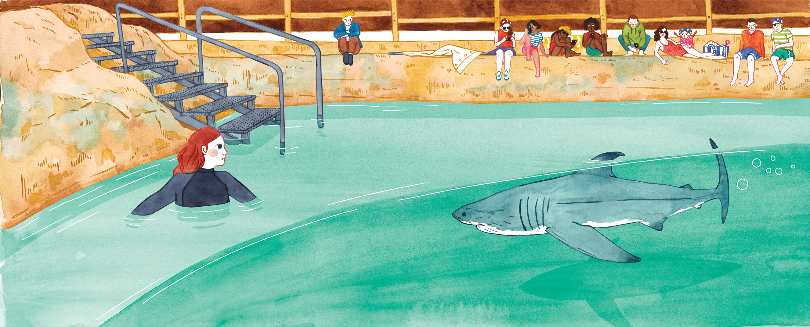 Un plongeur et un grand requin blanc dans une piscine