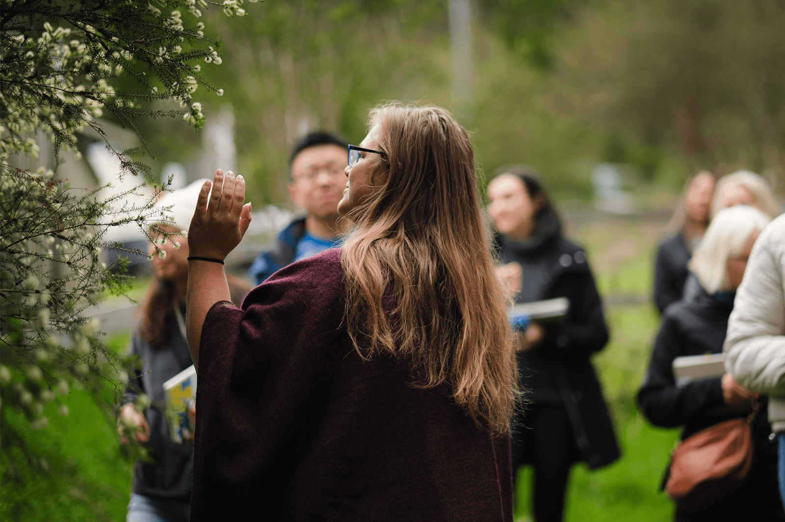 Photo of a woman in the bush, talking about prickly moses in front of a small crowd