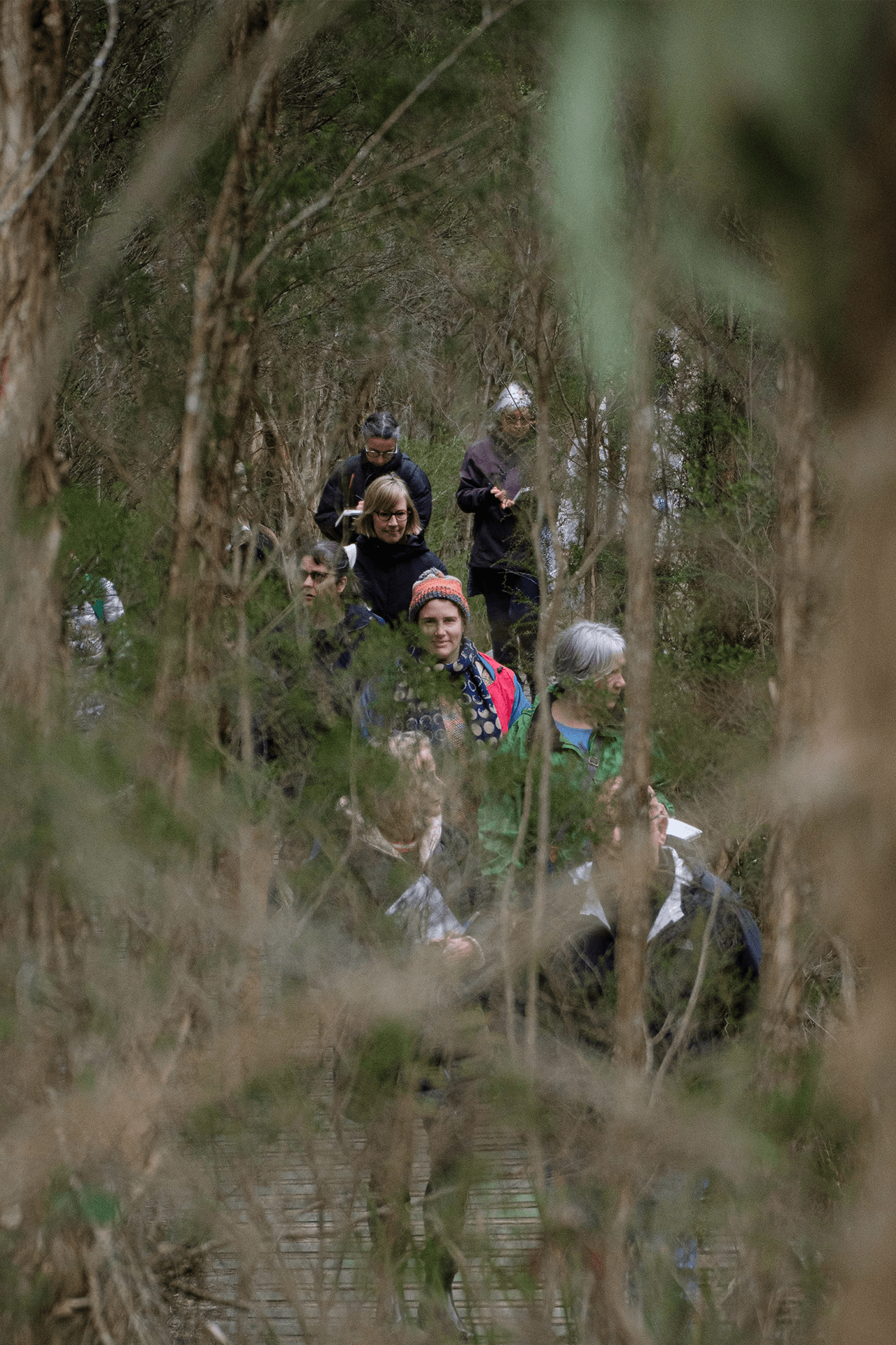 Participants of Wild Wanderings 2025 seen through dense bush