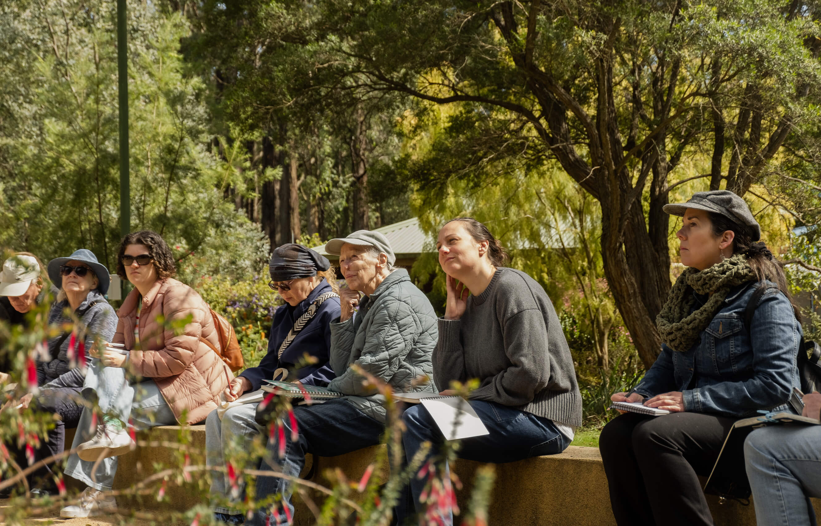 Participants of Wild Wanderings 2026 listening to their guide in sunny Karwarra garden