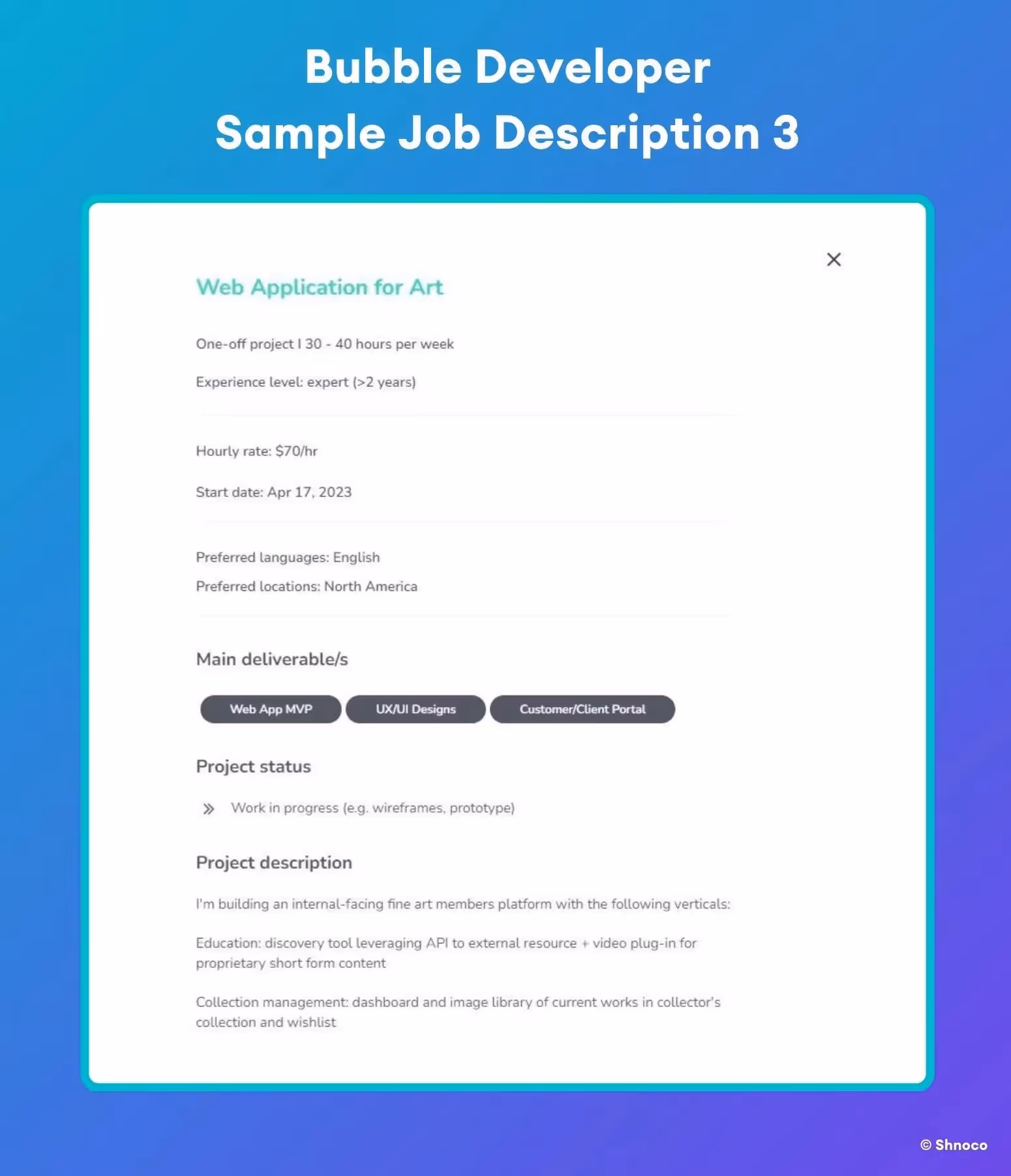 Bubble Developer - Sample Job Description 3