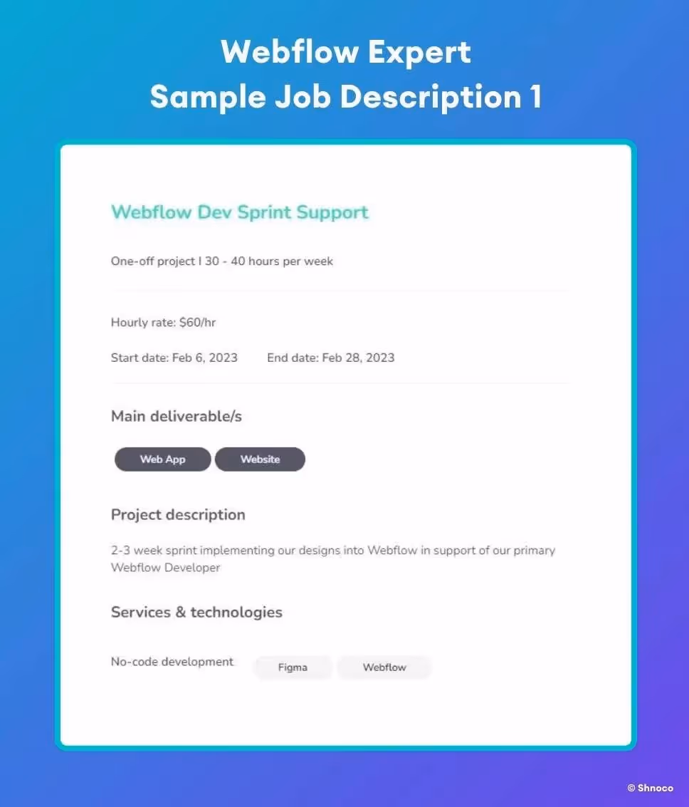 Webflow Expert - Sample Job Description 1