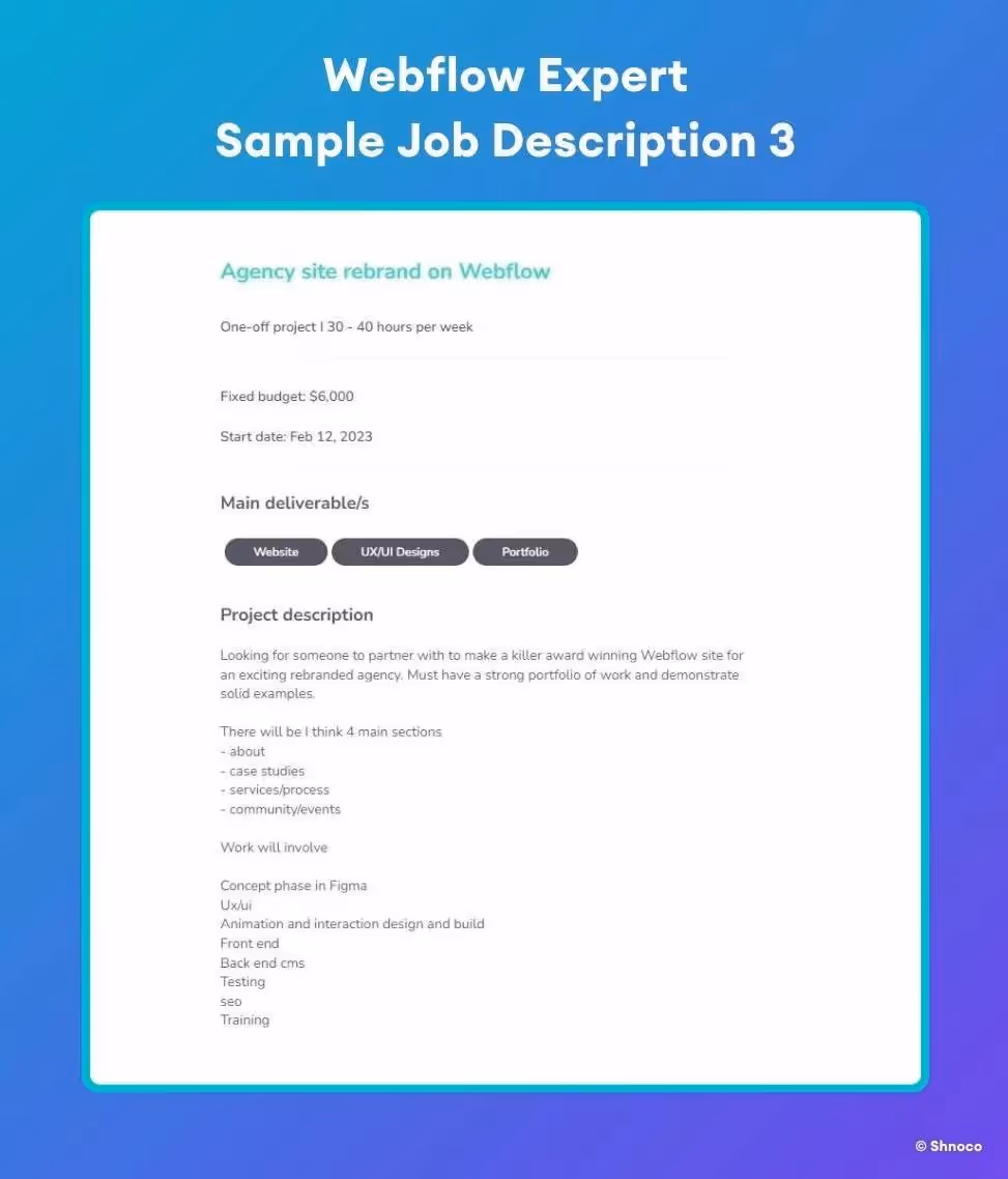 Webflow Expert - Sample Job Description 3