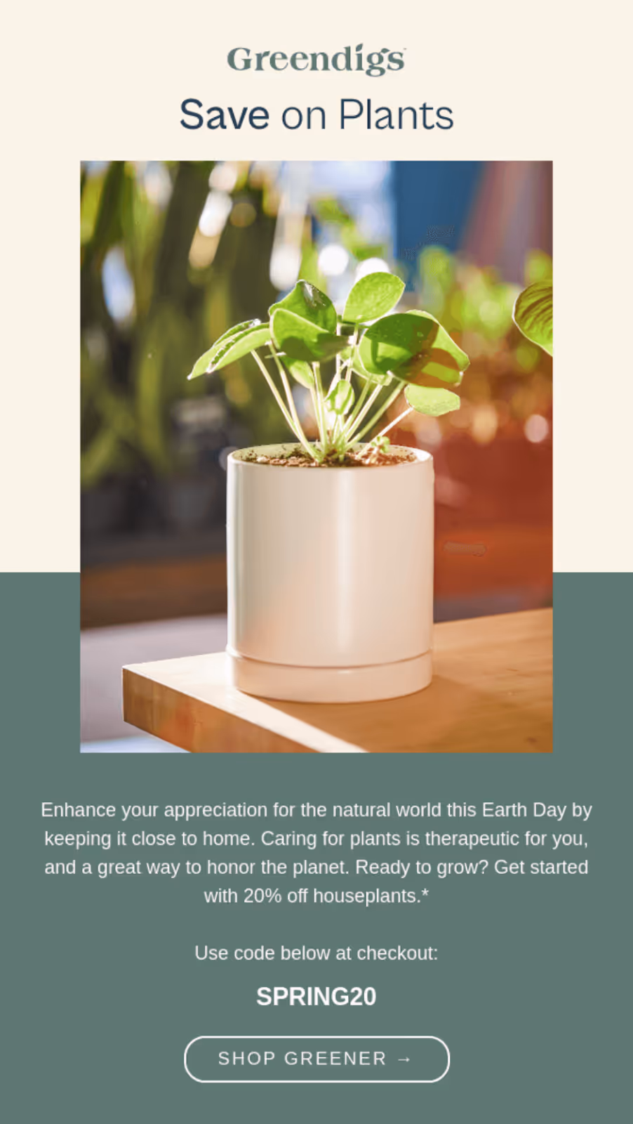 promotional email marketing example