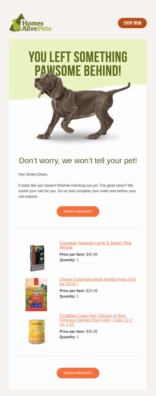 Homes Alive abandoned cart email with dynamic content