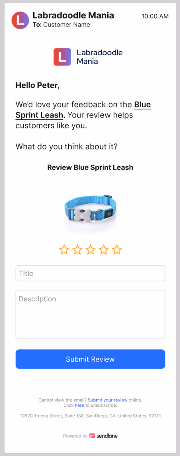 Product review template