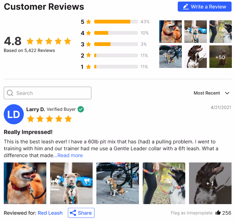 Customer reviews example