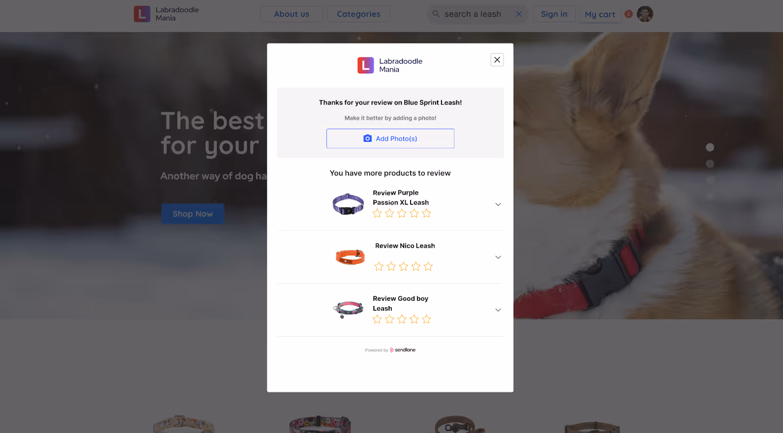 Sendlane reviews