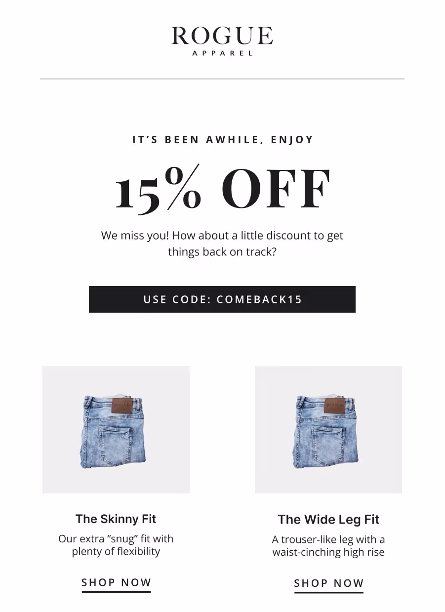  Bring Back A Shopper Email Template