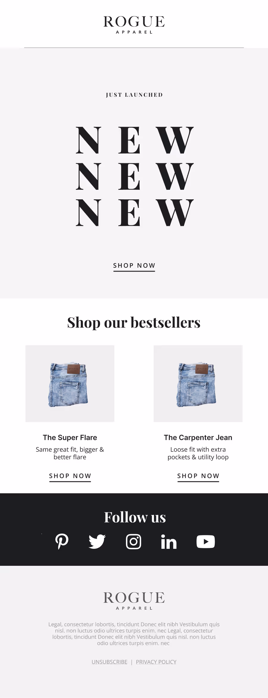 Product Launch Newsletter Email Template 