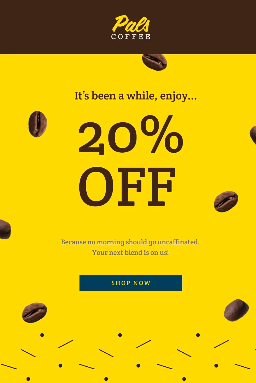 Product Recommendations Newsletter Email Template