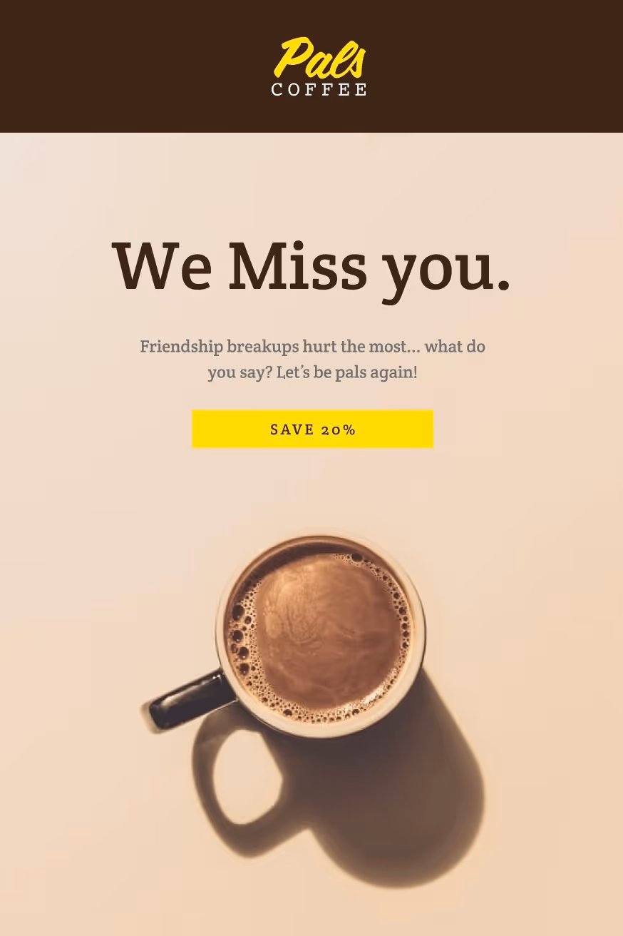 Special Offers Win-Back Email Template