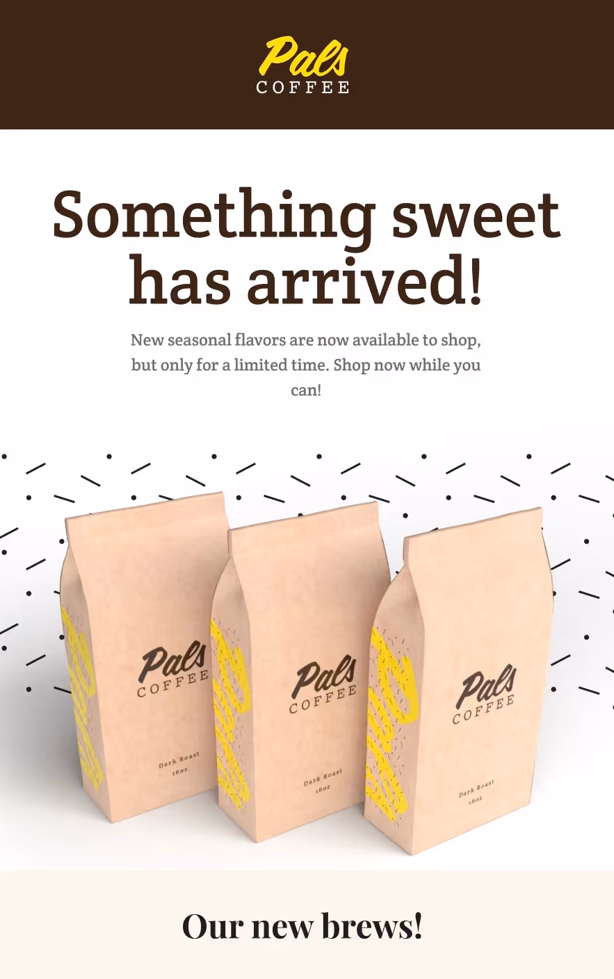 Post- Purchase Follow Up Email Template