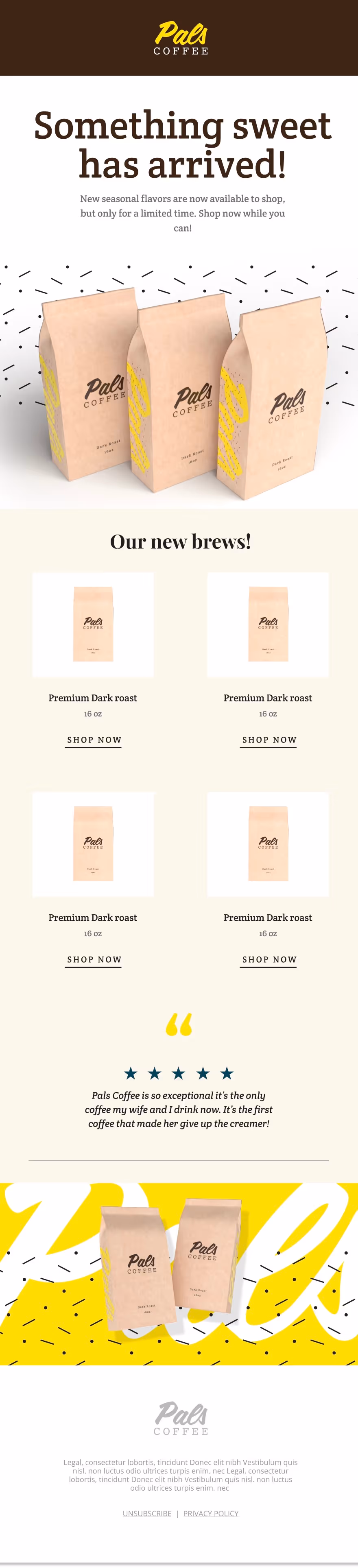 Post- Purchase Follow Up Email Template