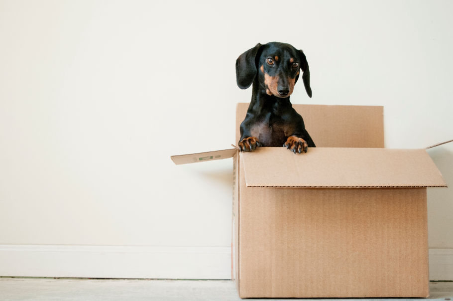 Loading and Unloading Service in Amarillo