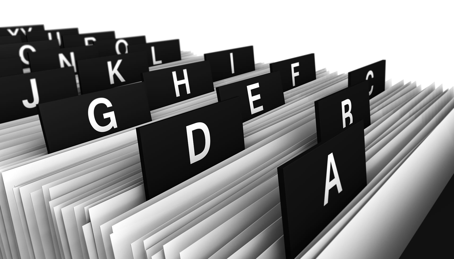 Community support program helping individuals with developmental disabilities build life skills